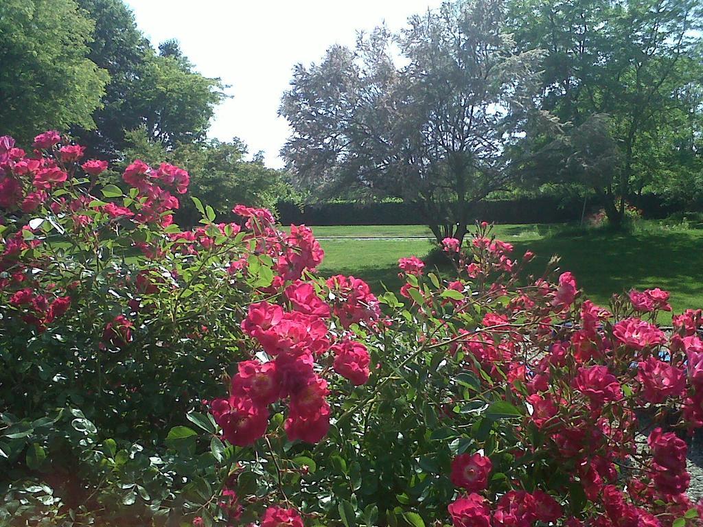 דירות Zerbolo Country House מראה חיצוני תמונה